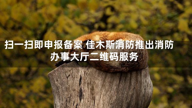 扫一扫即申报备案 佳木斯消防推出消防办事大厅二维码服务