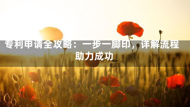 专利申请全攻略：一步一脚印，详解流程助力成功