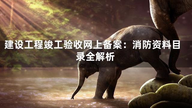 建设工程竣工验收网上备案：消防资料目录全解析