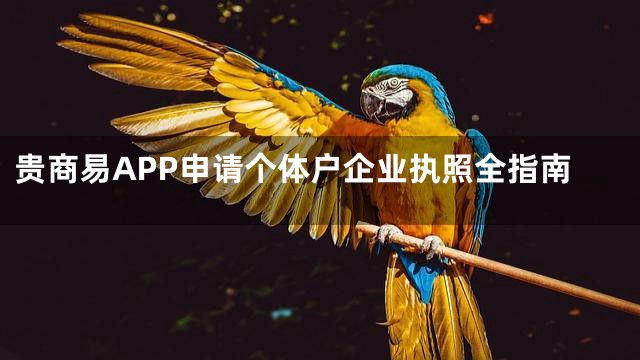 贵商易APP申请个体户企业执照全指南