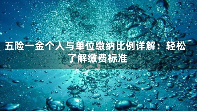 五险一金个人与单位缴纳比例详解：轻松了解缴费标准