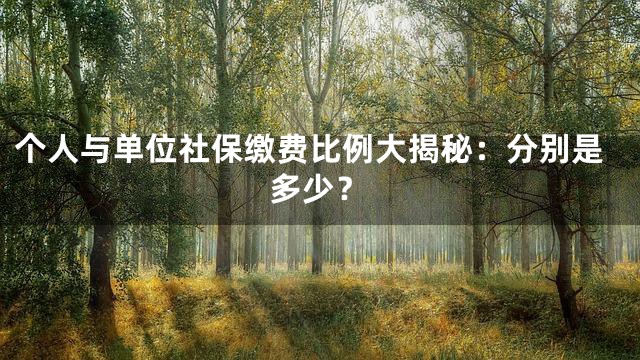个人与单位社保缴费比例大揭秘：分别是多少？