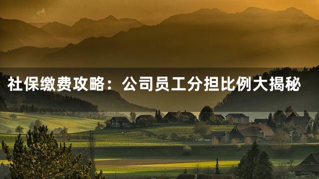 社保缴费攻略：公司员工分担比例大揭秘