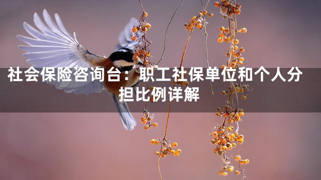 社会保险咨询台：职工社保单位和个人分担比例详解
