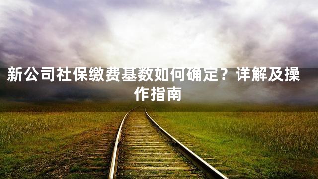 新公司社保缴费基数如何确定？详解及操作指南