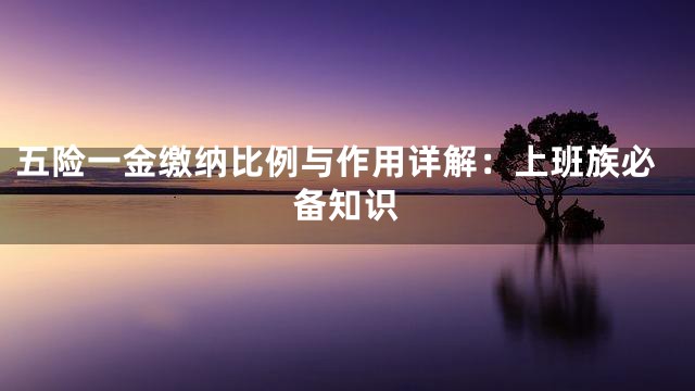 五险一金缴纳比例与作用详解：上班族必备知识