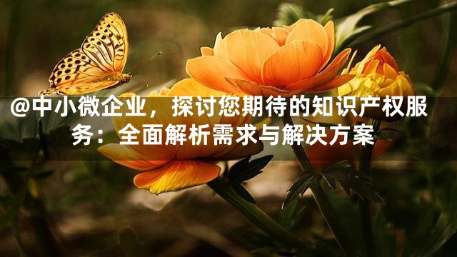 @中小微企业，探讨您期待的知识产权服务：全面解析需求与解决方案