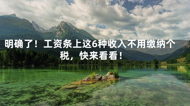 明确了！工资条上这6种收入不用缴纳个税，快来看看！
