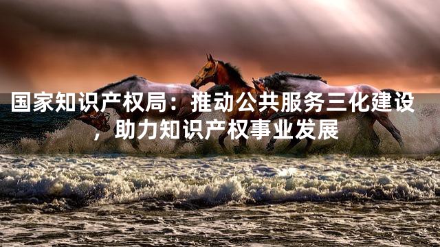 国家知识产权局：推动公共服务三化建设，助力知识产权事业发展