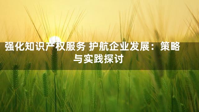 强化知识产权服务 护航企业发展：策略与实践探讨