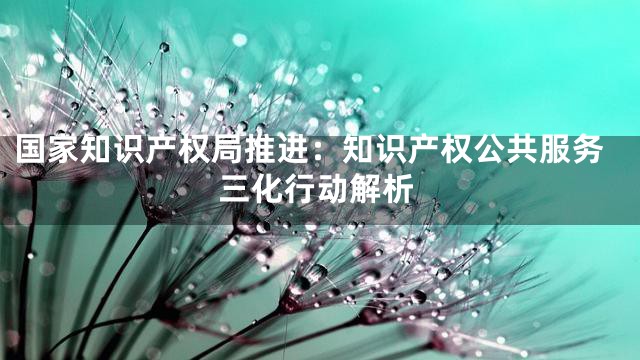 国家知识产权局推进：知识产权公共服务三化行动解析