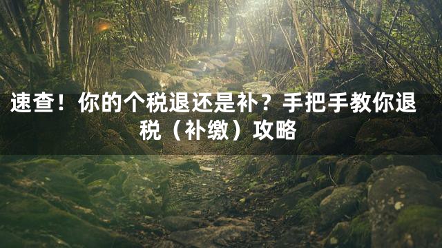 速查！你的个税退还是补？手把手教你退税（补缴）攻略