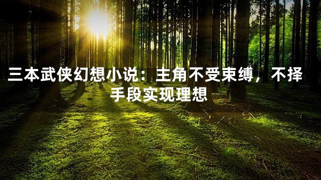 三本武侠幻想小说：主角不受束缚，不择手段实现理想