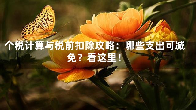 个税计算与税前扣除攻略：哪些支出可减免？看这里！