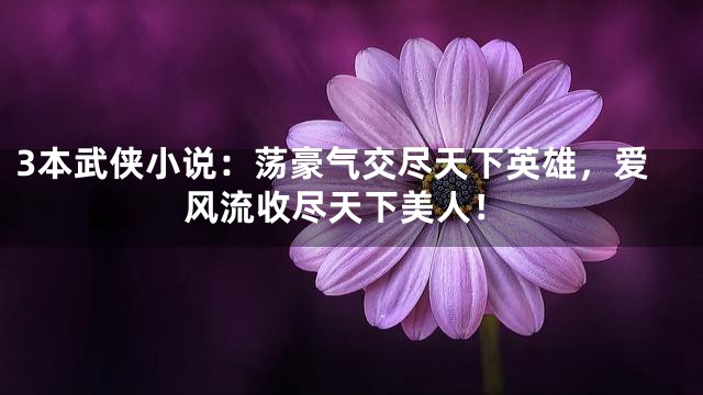 3本武侠小说：荡豪气交尽天下英雄，爱风流收尽天下美人！