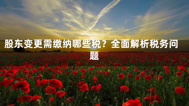股东变更需缴纳哪些税？全面解析税务问题