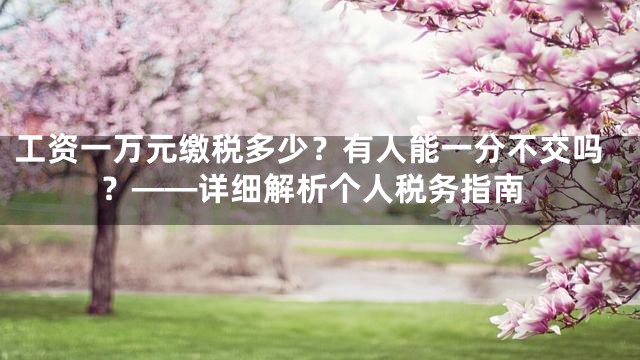 工资一万元缴税多少？有人能一分不交吗？——详细解析个人税务指南