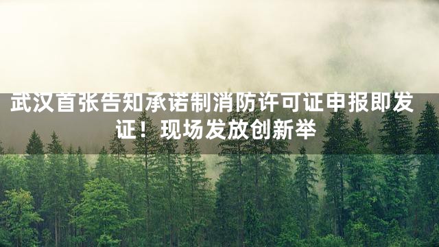 武汉首张告知承诺制消防许可证申报即发证！现场发放创新举