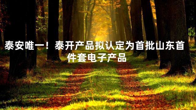 泰安唯一！泰开产品拟认定为首批山东首件套电子产品