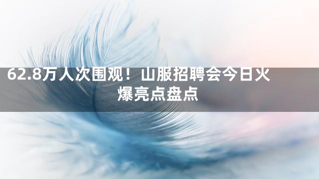 62.8万人次围观！山服招聘会今日火爆亮点盘点