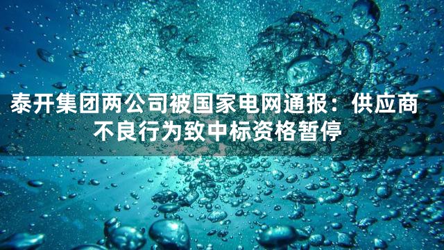 泰开集团两公司被国家电网通报：供应商不良行为致中标资格暂停