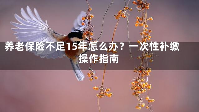 养老保险不足15年怎么办？一次性补缴操作指南