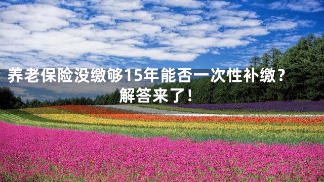 养老保险没缴够15年能否一次性补缴？解答来了！