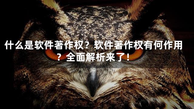 什么是软件著作权？软件著作权有何作用？全面解析来了！