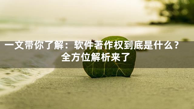 一文带你了解：软件著作权到底是什么？全方位解析来了