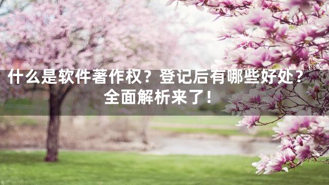 什么是软件著作权？登记后有哪些好处？全面解析来了！