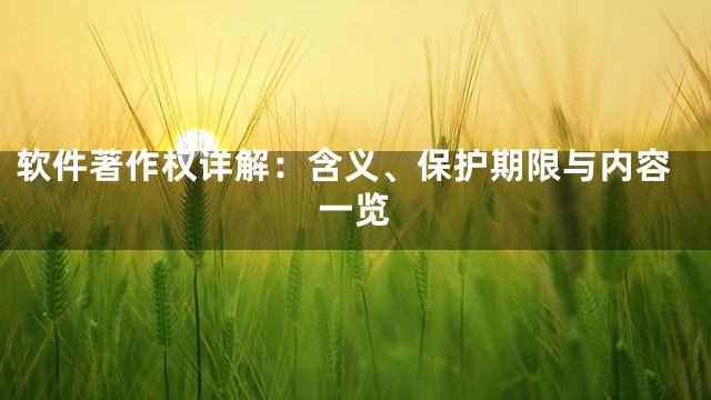 软件著作权详解：含义、保护期限与内容一览