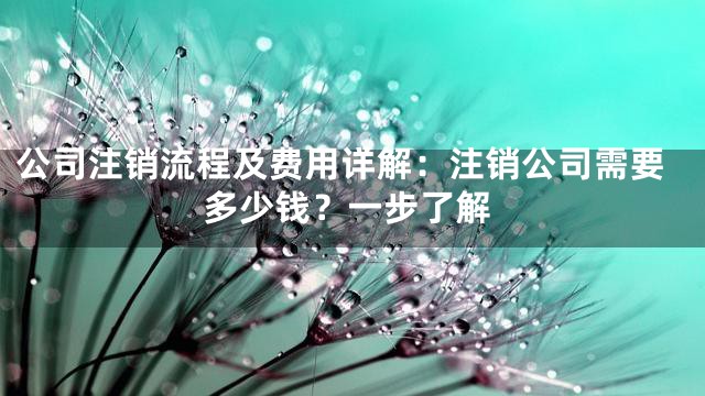 公司注销流程及费用详解：注销公司需要多少钱？一步了解
