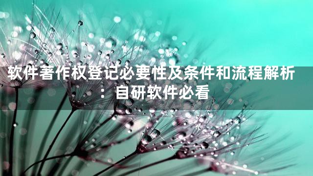 软件著作权登记必要性及条件和流程解析：自研软件必看