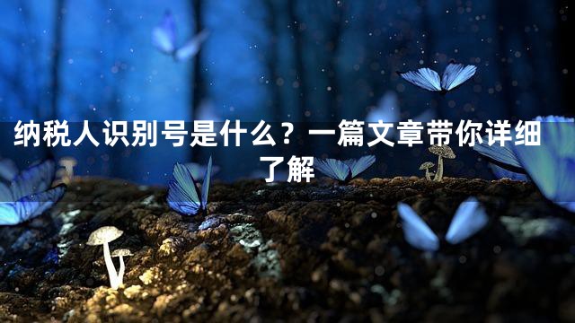 纳税人识别号是什么？一篇文章带你详细了解