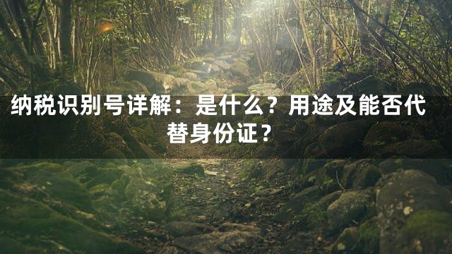 纳税识别号详解：是什么？用途及能否代替身份证？