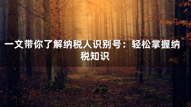一文带你了解纳税人识别号：轻松掌握纳税知识