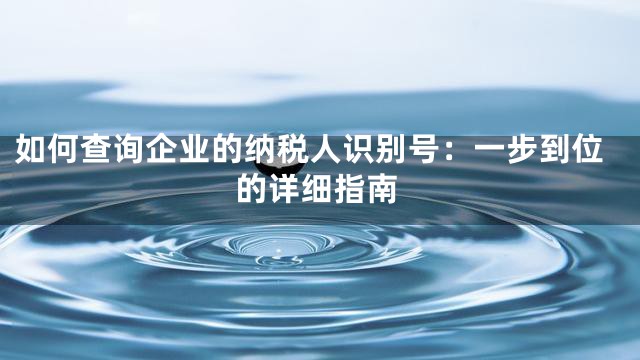 如何查询企业的纳税人识别号：一步到位的详细指南