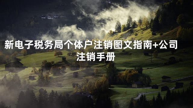 新电子税务局个体户注销图文指南+公司注销手册