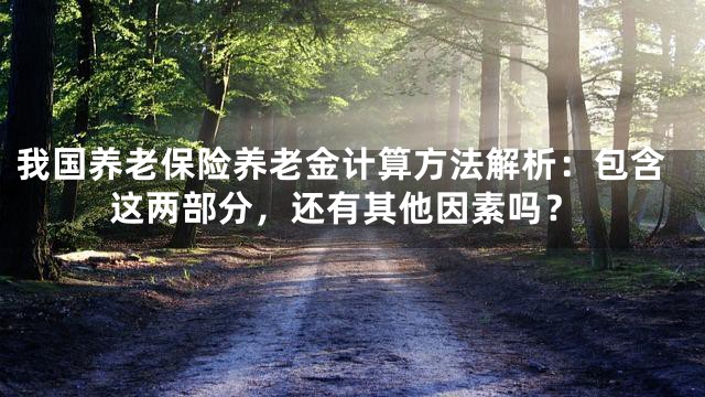 我国养老保险养老金计算方法解析：包含这两部分，还有其他因素吗？