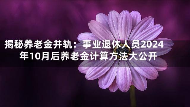 揭秘养老金并轨：事业退休人员2024年10月后养老金计算方法大公开