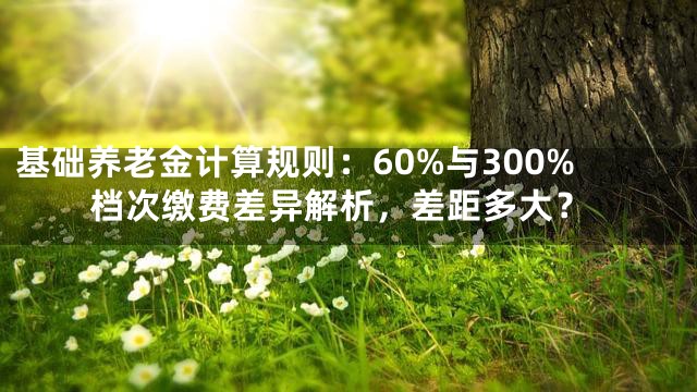 基础养老金计算规则：60%与300%档次缴费差异解析，差距多大？