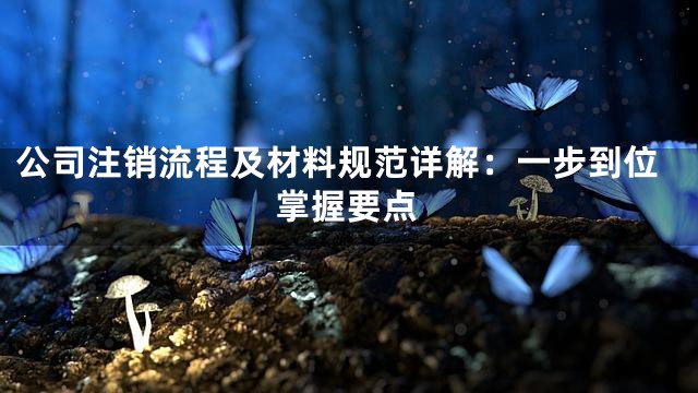 公司注销流程及材料规范详解：一步到位掌握要点