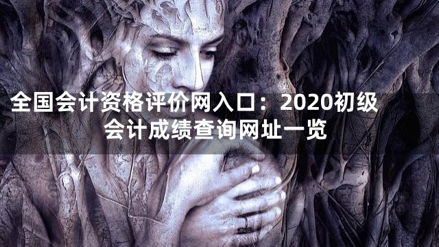 全国会计资格评价网入口：2020初级会计成绩查询网址一览