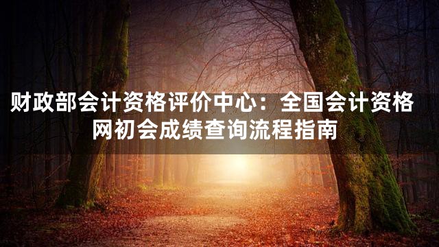 财政部会计资格评价中心：全国会计资格网初会成绩查询流程指南