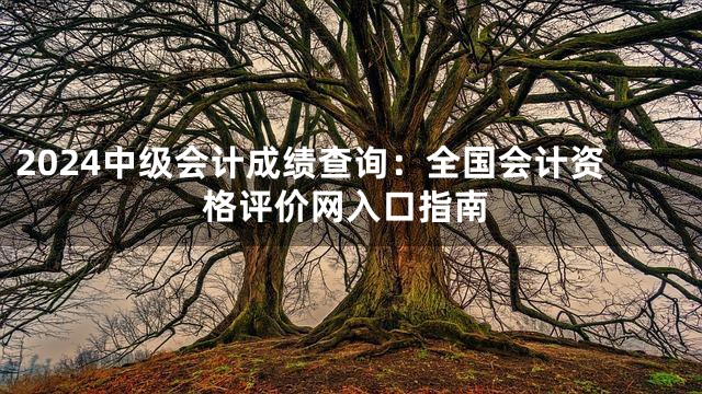 2024中级会计成绩查询：全国会计资格评价网入口指南