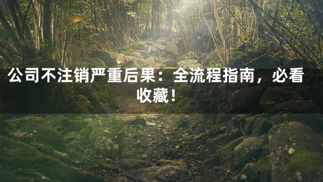 公司不注销严重后果：全流程指南，必看收藏！