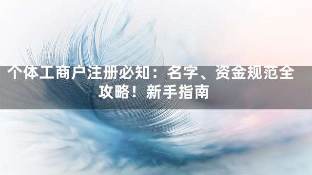 个体工商户注册必知：名字、资金规范全攻略！新手指南