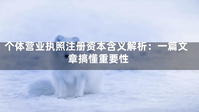 个体营业执照注册资本含义解析：一篇文章搞懂重要性