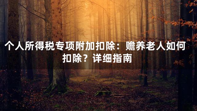 个人所得税专项附加扣除：赡养老人如何扣除？详细指南
