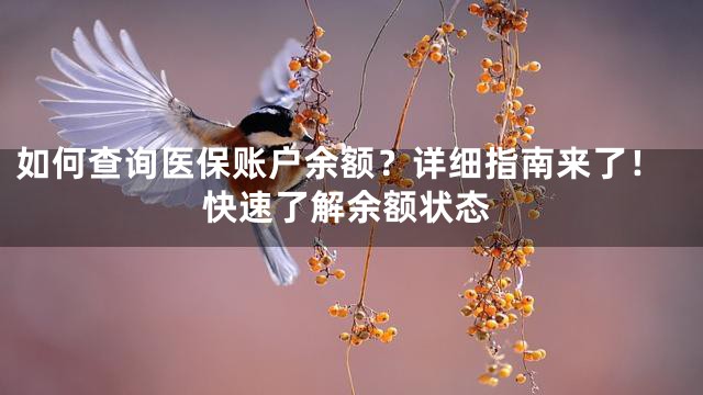 如何查询医保账户余额？详细指南来了！快速了解余额状态